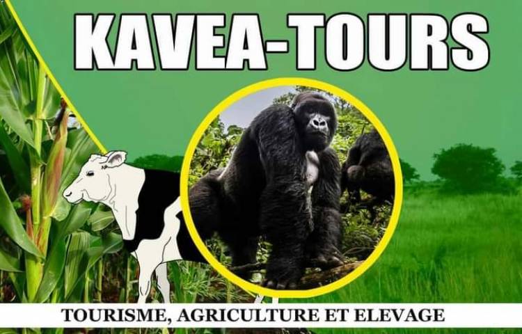 À la découverte de KAVEA Tours, du tourisme, de l'élevage et de l'agriculture à Kavumu