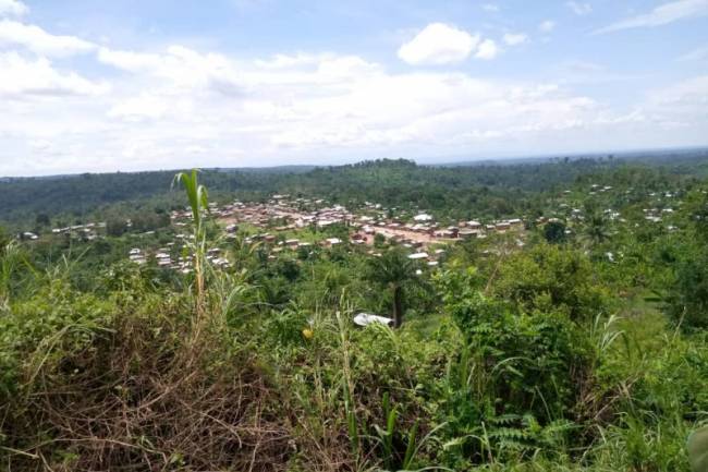 Massacres à Beni : plus de 12 morts parmi les déplacés basés sur le mont Ruwenzori à Mwenda