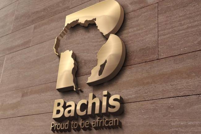 Affaire immobilière, décoration architecturale, production artistique... Tout savoir sur l'entreprise Bachis "Proud To Be African"