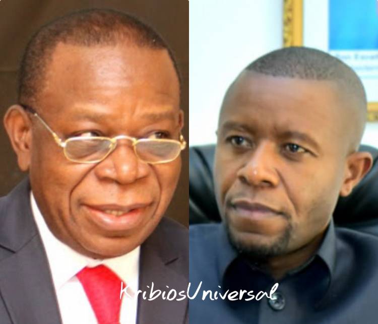 Élection de Bahati au sénat : Voici la réaction du Gouverneur Kasivita remerçiant Le Président Tshisekedi... 