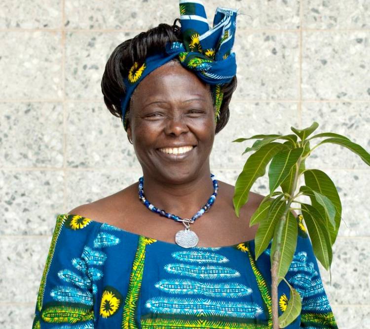 Sur les traces de Wangari Maathai, première femme africaine à recevoir le prix Nobel de la paix !