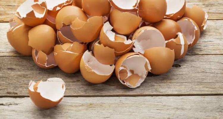 Voici diverses utilisations de coquilles d’œufs qui vous faciliteront la vie 