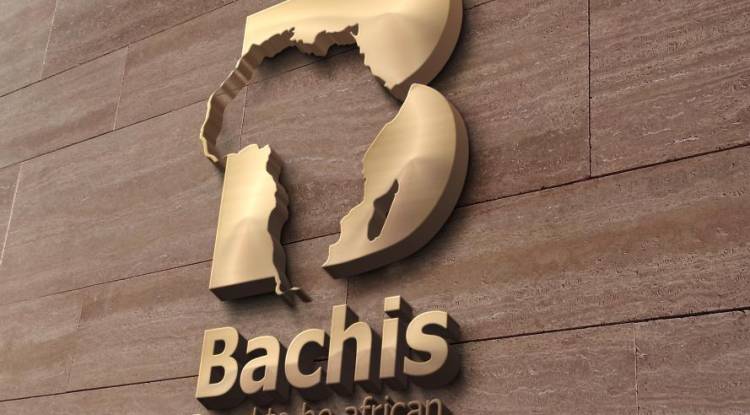 Affaire immobilière, décoration architecturale, production artistique... Tout savoir sur l'entreprise Bachis "Proud To Be African"