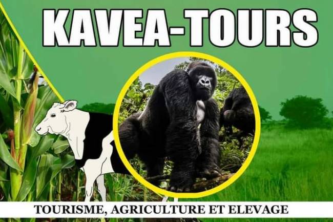 À la découverte de KAVEA Tours, du tourisme, de l'élevage et de l'agriculture à Kavumu
