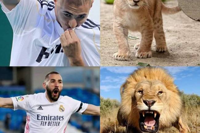 Benzema brille de mille feux avec le Real Madrid en Liga espagnole
