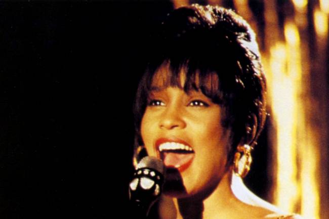 Ce que l'on sait sur la célèbre Whitney Houston